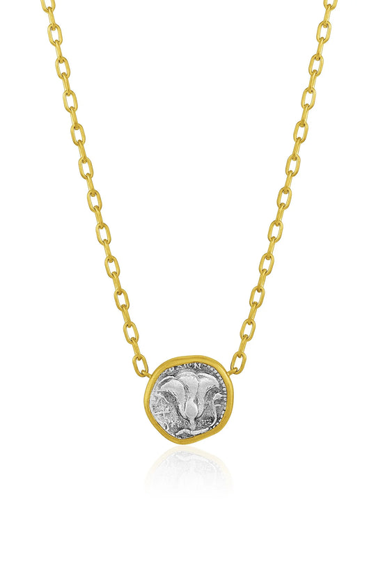 Coin Necklace - Caria Isl. of Rhodes Didrachm